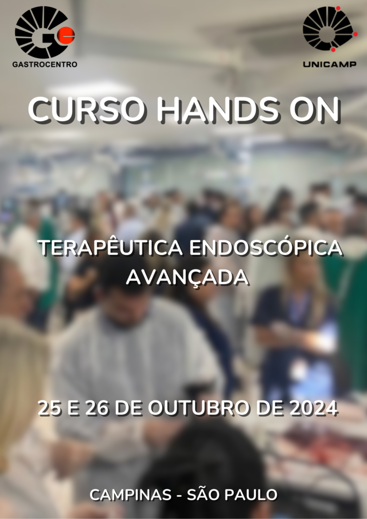 Curso Hands On 2024