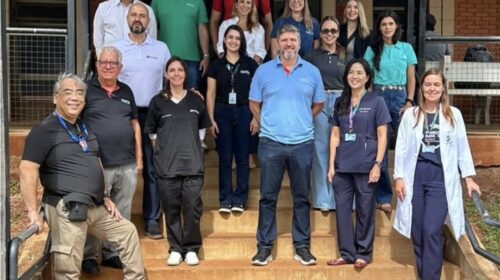 Março Azul reforça a importância da prevenção do câncer colorretal